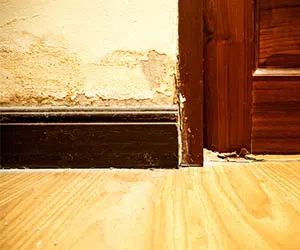 Homestead Emergency Restoration Homestead, FL 786-408-2426 - content-water-damage-restoration