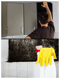 Homestead Emergency Restoration Homestead, FL 786-408-2426 - sb-services-03